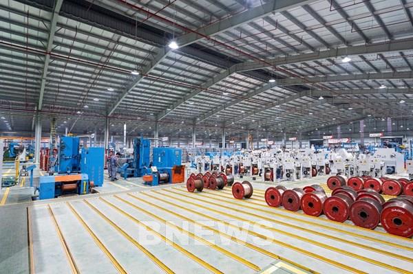 Hai lĩnh vực mang lại “lợi nhuận khủng” và dài hạn cho GELEX 