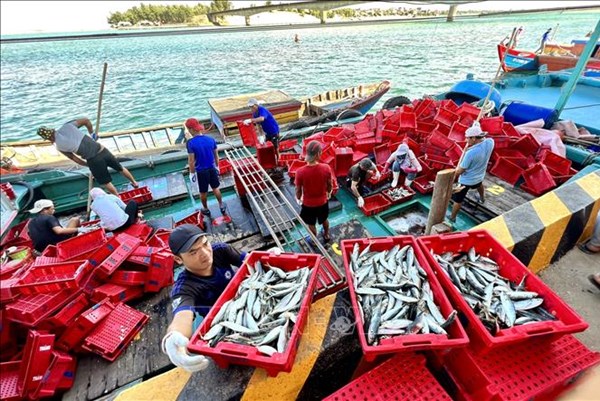 EU sẽ kiểm soát asen vô cơ trong nhiều loại thủy sản nhập khẩu