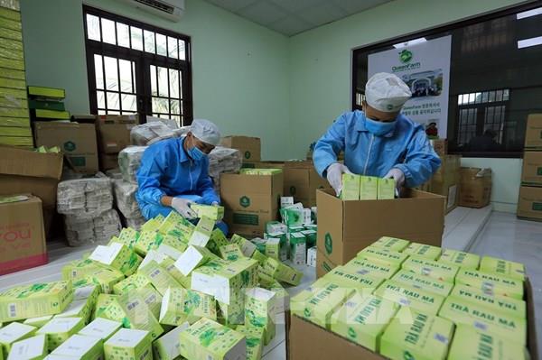 Công ước Hà Nội: Pháo đài số của doanh nghiệp Việt không chỉ là tường lửa mà là văn hóa an ninh