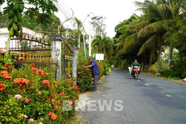Tháp Mười - Từ vùng đất nhiễm phèn đến huyện nông thôn mới