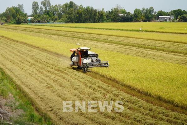 Chuyển mình từ vùng đất nhiễm phèn đến huyện nông thôn mới Tháp Mười