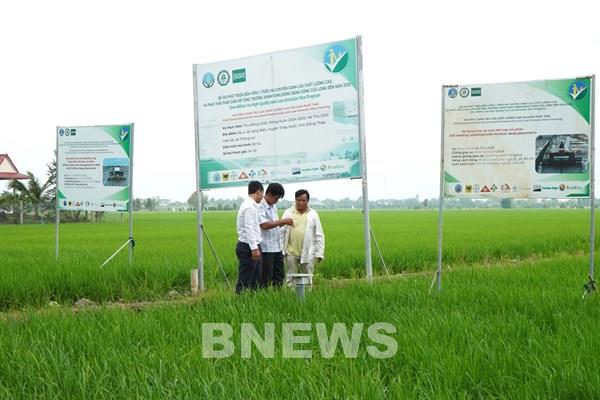 Gỡ khó để thực hiện hiệu quả Đề án 1 triệu ha lúa chất lượng cao tại Cần Thơ