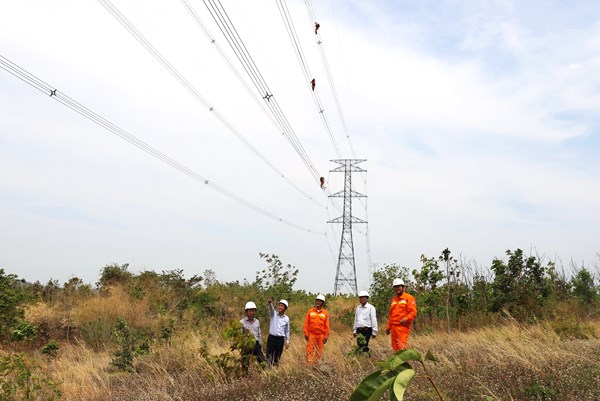 PTC3 nâng cao khả năng ứng phó với các tình huống thiên tai, sự cố bất ngờ