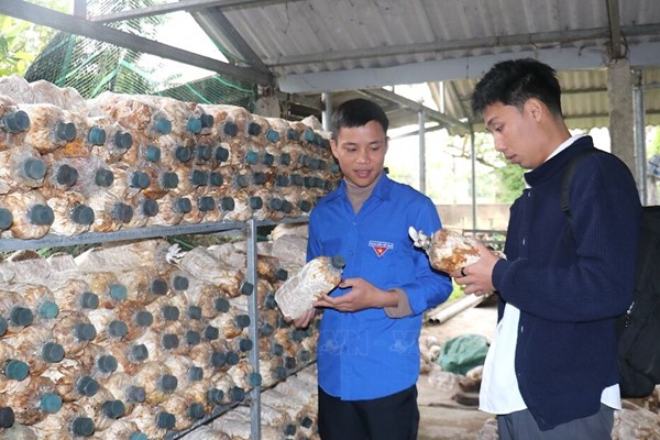 Tuổi trẻ Quảng Trị tạo đột phá từ ứng dụng khoa học công nghệ