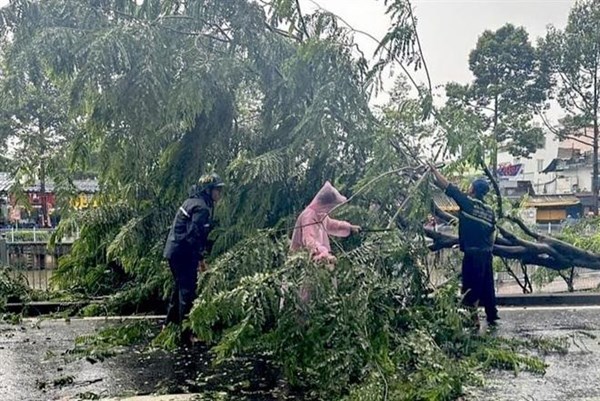 Thời tiết đêm 25/3: Nhiều khu vực có mưa dông