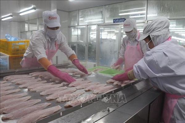 Xuất khẩu của Tiền Giang tăng nhờ các mặt hàng thế mạnh