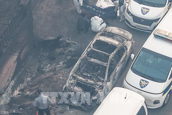 Samsung, Hyundai, SK… chi hàng tỷ won hỗ trợ người dân vùng cháy rừng