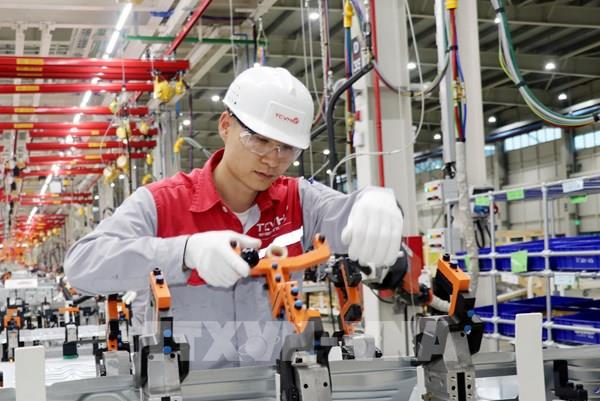 Nhiều doanh nghiệp tư nhân hoạt động trở lại