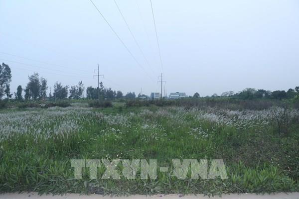 Hải Dương hoàn tất thu hồi 25.000m² đất nông nghiệp tại Nam Sách để triển khai dự án