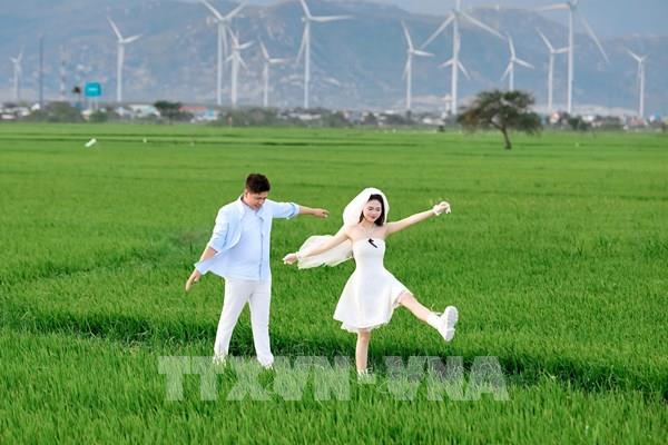 Check-in Ninh Thuận: Tàu biển Phước Dinh, điện gió Đầm Nại gây sốt