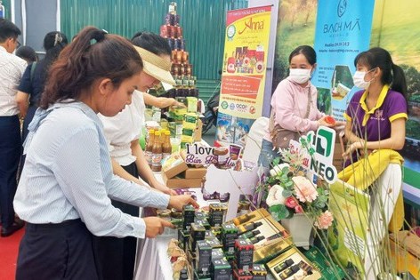 Thành lập Trung tâm Xúc tiến Đầu tư và Hỗ trợ doanh nghiệp Hà Nội ​