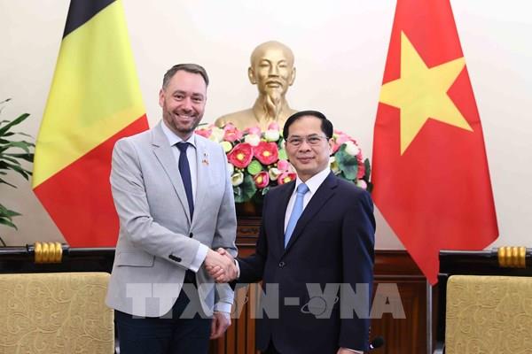 Việt Nam luôn coi trọng quan hệ hữu nghị và hợp tác nhiều mặt với Bỉ