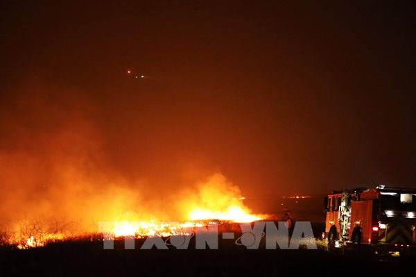 Nhiều hạt ở bang California phải sơ tán do cháy rừng