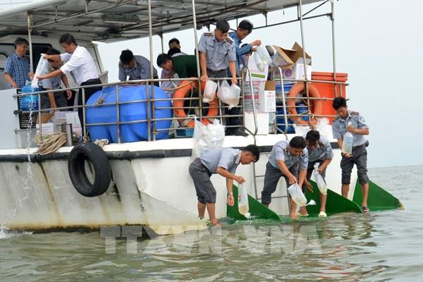 Kiên Giang thả gần 10 triệu con giống về tự nhiên tái tạo nguồn lợi thủy sản