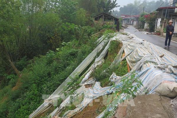 Nhiều hoạt động hưởng ứng Tuần lễ Quốc gia Phòng, chống thiên tai