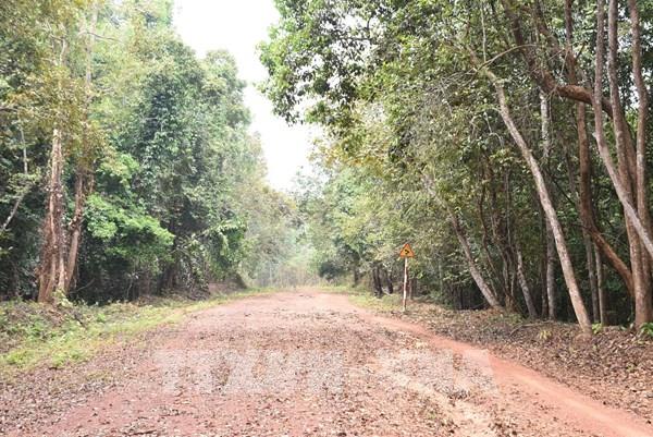 Đồng Nai kiến nghị Thủ tướng việc xây cầu, đường kết nối Bình Phước