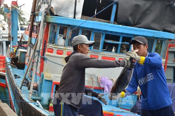 Khắc phục “thẻ vàng” IUU: Kiểm soát chặt cảng cá và hoạt động khai thác trên biển