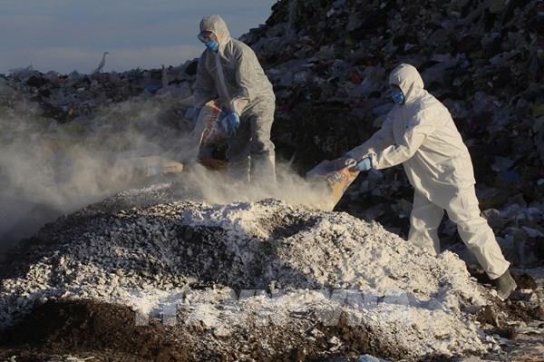 Chuyên gia cảnh báo cúm gia cầm A/H9N2 có thể gây đại dịch ở người