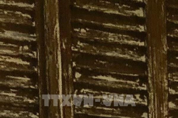 Tp. Hồ Chí Minh giới thiệu đa dạng chương trình quảng bá ẩm thực