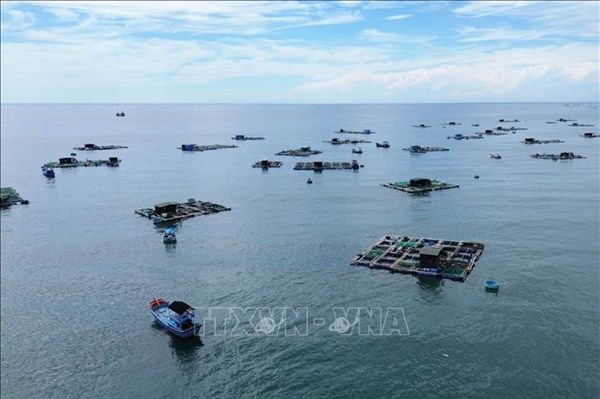 Số hóa phân vùng phát triển nghề nuôi biển theo hướng công nghệ cao