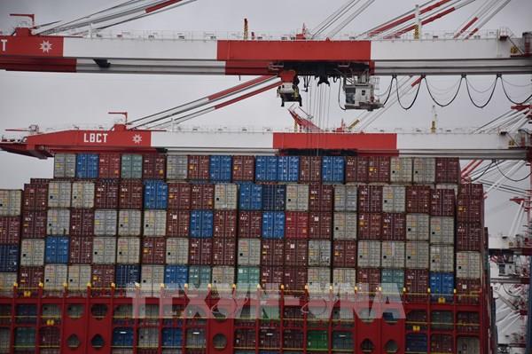 AmCham Việt Nam và Hiệp hội chăn nuôi tiếp tục lên tiếng về thuế quan của Mỹ
