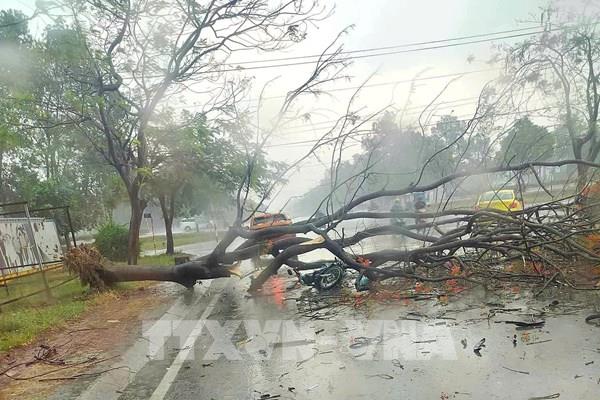 Mưa đá gây thiệt hại tại Bình Dương