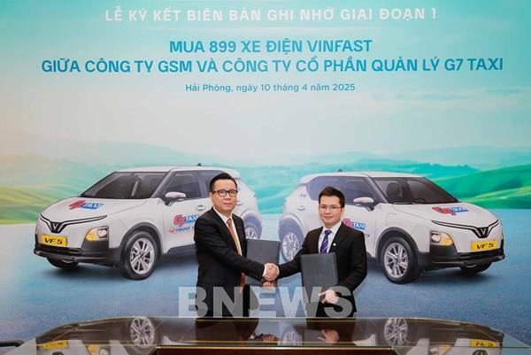 G7 Taxi mua gần 900 xe điện VinFast thay thế đội xe xăng hiện tại