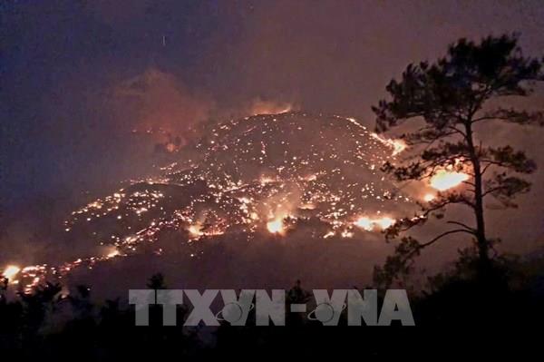 Cháy rừng ở Bình Liêu và Hạ Long: Hàng trăm người dập lửa xuyên đêm