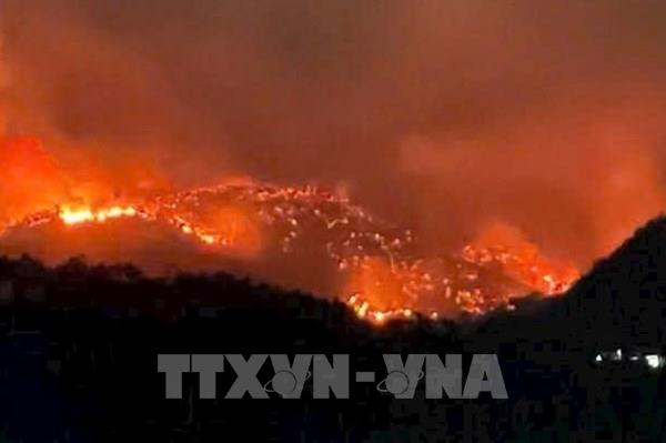 Phó Thủ tướng chỉ đạo khắc phục nhanh hậu quả do cháy rừng tại Quảng Ninh