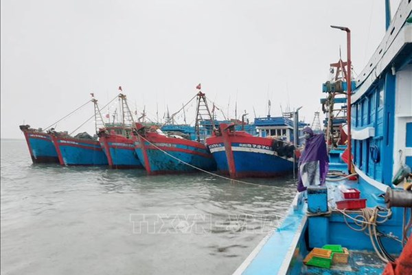 Khắc phục "thẻ vàng" IUU: Kiểm soát, ngăn chặn tàu cá khai thác bất hợp pháp