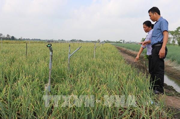 Thích ứng linh hoạt với hạn, xâm nhập mặn, bảo vệ sản xuất an toàn