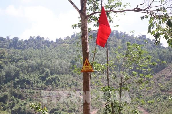 Hà Nội triển khai phương án phòng chống cháy rừng mùa nắng nóng