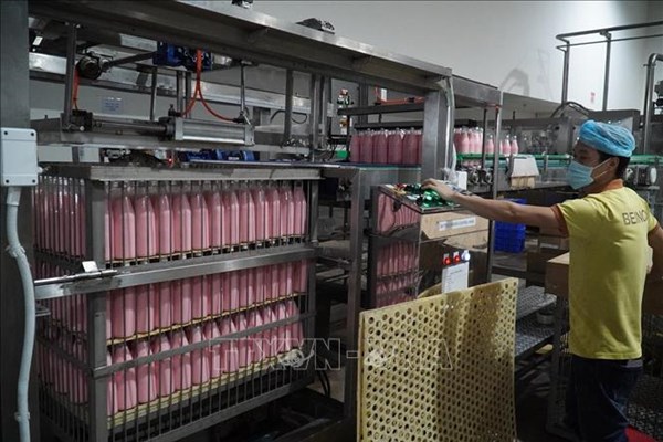 Bến Tre hoàn thiện kế hoạch phát triển nhóm doanh nghiệp dẫn đầu của tỉnh