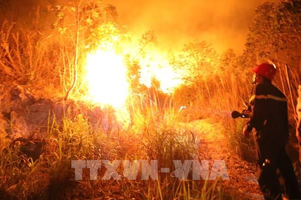Cháy lớn tại rừng bạch đàn ở Tam Đảo (Vĩnh Phúc)
