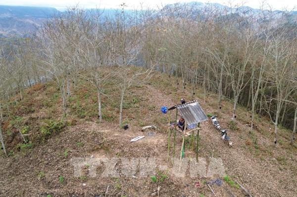 Đồng bằng, trung du Bắc Bộ, Trung Bộ và miền Đông Nam Bộ có nắng nóng và nắng nóng gay gắt