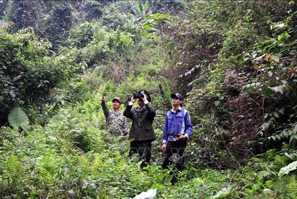 Tuyên Quang có 56 xã nằm trong vùng nguy cơ cháy rừng