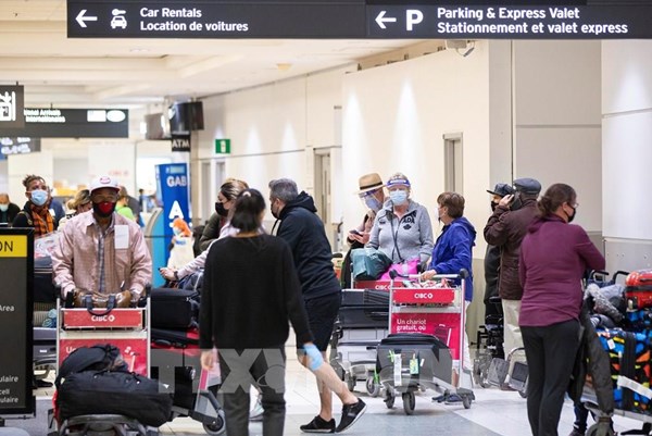 Giới chuyên gia Canada khuyến nghị chính phủ sửa đổi hệ thống nhập cư