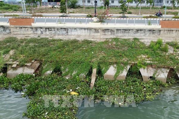 Đồng Tháp: Kè Thường Thới Tiền bị sụp lún, sạt lở hàng trăm mét