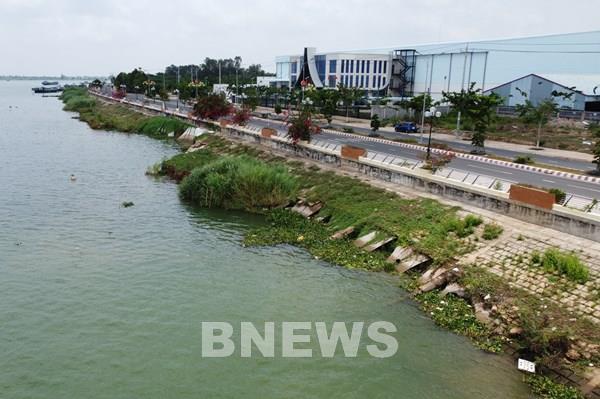 Hàng trăm mét kè Thường Thới Tiền bị sụp lún, sạt lở