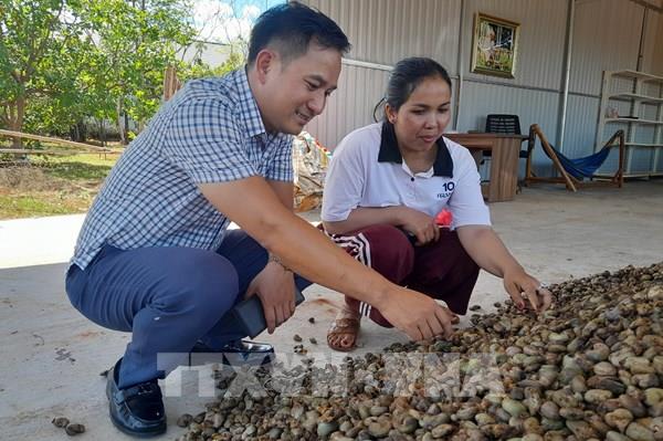 Phụ nữ dân tộc thiểu số vượt khó khởi nghiệp: Câu chuyện truyền cảm hứng