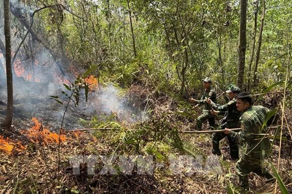 Nắng nóng kéo dài, hàng chục vụ cháy rừng xảy ra ở Cao Bằng