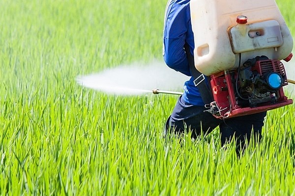 Bắt chủ cơ sở sản xuất, bán trót lọt hàng chục ngàn sản phẩm thuốc bảo vệ thực vật giả