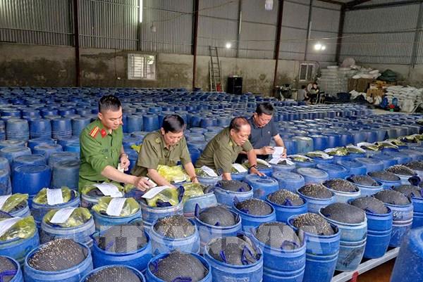 Nghệ An triệt xóa đường dây sản xuất 3.500 tấn giá đỗ ngâm "nước kẹo"