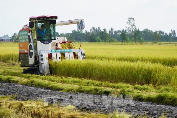 Đất Sen hồng bứt phá vươn lên