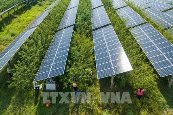 Doanh nghiệp Nhật Bản phát triển công nghệ sản xuất pin Mặt Trời có thể uốn cong
