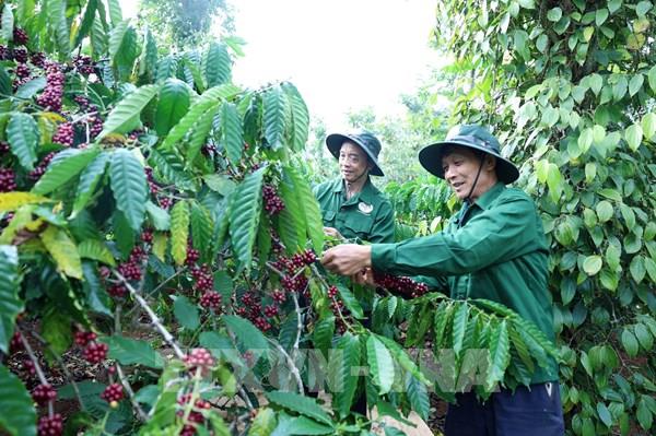 Hợp nhất Phú Yên và Đắk Lắk - Đường lớn đã mở, kiến tạo không gian