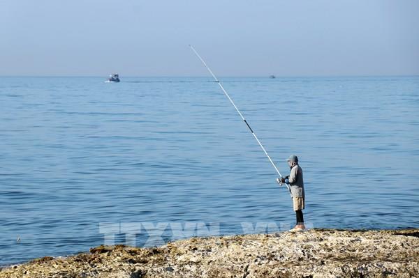 Bí ẩn “rừng san hô hóa thạch” giữa biển trời Ninh Thuận