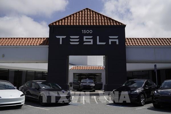 Tương lai của Tesla gắn liền với tỷ phú Elon Musk?