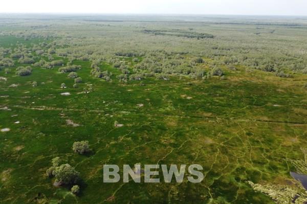 Giữ trọn "lá phổi xanh” Đồng Tháp