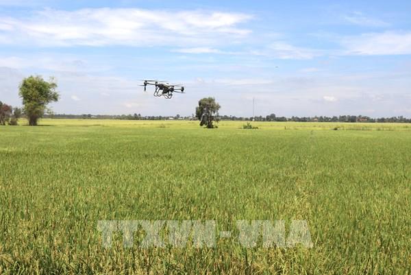 Đồng Tháp Mười - Giữa đất phèn nước mặn trồng nên những mùa vàng